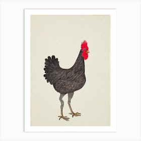 Chicken Illustration Bird Art Print