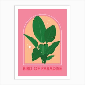 Bird Of Paradise Art Print