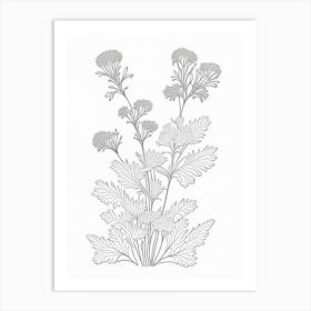 Feverfew Herb William Morris Inspired Line Drawing 3 Art Print