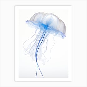 Portuguese Man Of War Jellyfish Watercolour 7 Art Print
