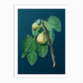 Vintage Fig Branch Botanical Art on Teal Blue Art Print