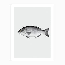 Yellowtail Snapper Black & White Drawing Art Print