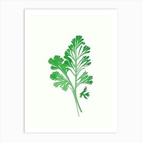 Cilantro (Coriander Leaf) Spices And Herbs Minimal Line Drawing 2 Art Print