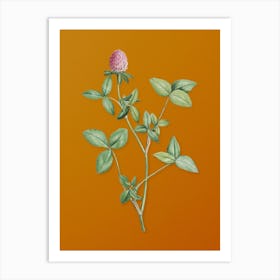 Vintage Pink Clover Botanical on Sunset Orange n.0713 Art Print