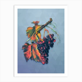 Vintage Black Grape Botanical Art on Summer Song Blue n.0122 Art Print