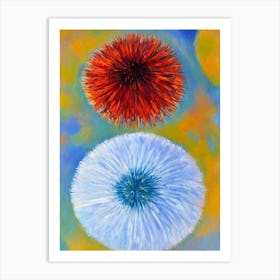 Sea Urchin Matisse Inspired Art Print