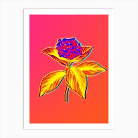 Neon French Hydrangea Botanical in Hot Pink and Electric Blue n.0404 Art Print