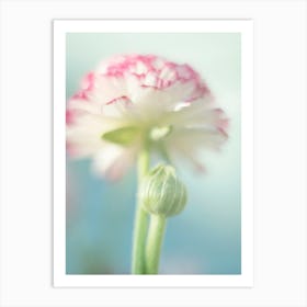 Spring Flower - Pastel Floral Photography Art Print