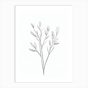 Twigs Art Print