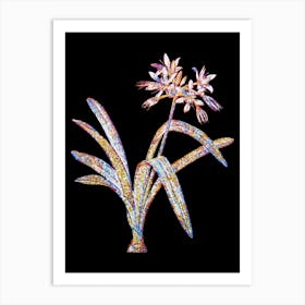 Stained Glass Pancratium Illyricum Mosaic Botanical Illustration on Black n.0317 Art Print