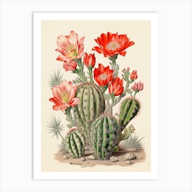 Vintage Cactus Illustration Ladyfinger Cactus 1 Art Print