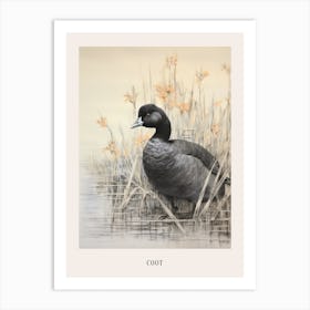 Vintage Bird Drawing Coot 2 Poster Art Print