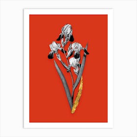 Vintage Elder Scented Iris Black and White Gold Leaf Floral Art on Tomato Red n.0261 Art Print