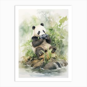Panda Art Photographing Watercolour 4 Art Print
