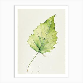 Sycamore Leaf Minimalist Watercolour 3 Art Print