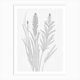 Psyllium Herb William Morris Inspired Line Drawing 3 Art Print