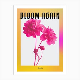 Hot Pink Dahlia 3 Poster Art Print