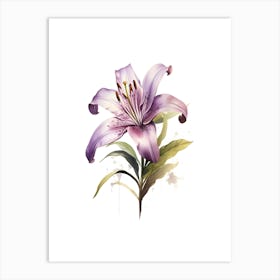 Purple Lily 1 Art Print