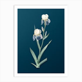 Vintage Elder Scented Iris Botanical Art on Teal Blue Art Print