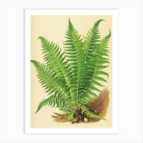 Vintage Illustration Ribbon Fern 2 Art Print