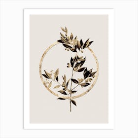 Gold Ring Vintage Fontanesia Phillyreoides Glitter Botanical Illustration Art Print