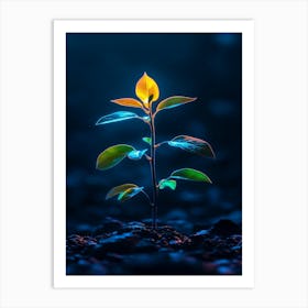 Young Plant In The Dark 12 Art Print