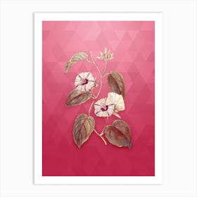 Vintage Hoary Jacquemontia Flower Botanical in Gold on Viva Magenta n.0031 Art Print