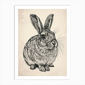 Chinchilla Blockprint Rabbit Illustration 9 Art Print
