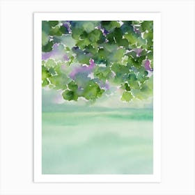 Sea Lettuce Storybook Watercolour Art Print