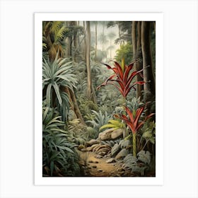 Vintage Jungle Botanical Illustration Bromeliads 2 Art Print