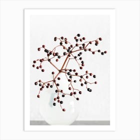 Berries_2114221 Art Print