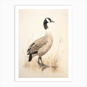 Vintage Bird Drawing Canada Goose 1 Art Print