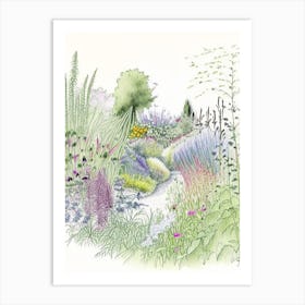 Monet S Garden, Usa Vintage Pencil Drawing Art Print