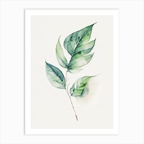 Salvia Leaf Minimalist Watercolour 2 Art Print
