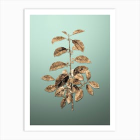 Gold Botanical Alder Buckthorn on Mint Green n.0161 Art Print