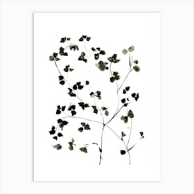 Blossom Art Print