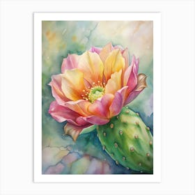 Cactus Flower 1 Art Print