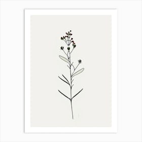 Xanthoceras Sorbifolium Floral Minimal Line Drawing 1 Flower Art Print