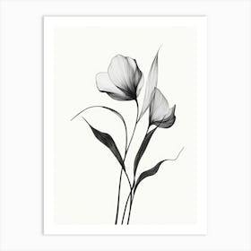 Black And White Flowers 4 Art Print