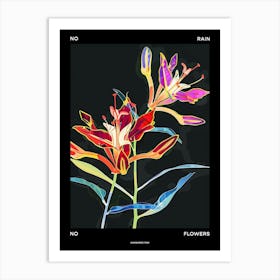 No Rain No Flowers Poster Kangaroo Paw 1 Art Print