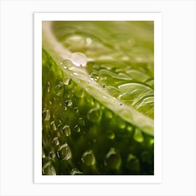 Water Droplets On Lime 5 Art Print