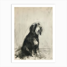  Bearded Collie Dog Charcoal Line 2 Art Print