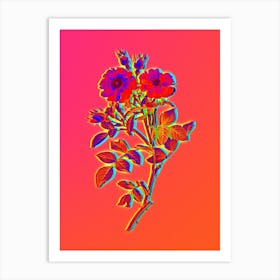 Neon Queen Elizabeth's Sweetbriar Rose Botanical in Hot Pink and Electric Blue n.0151 Art Print