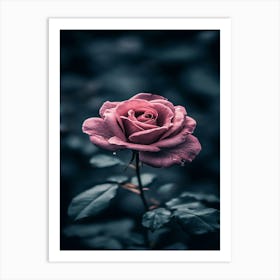 Rose In The Dark 22 Art Print