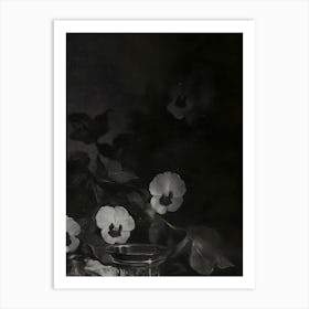 Pansies Art Print