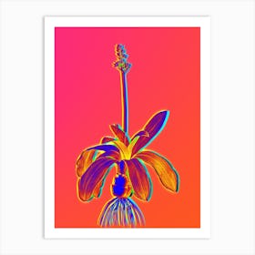 Neon Scilla Lilio Hyacinthus Botanical in Hot Pink and Electric Blue Art Print