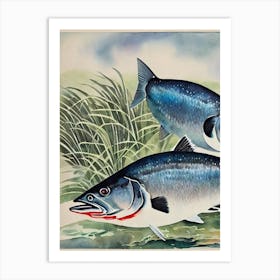 Mulloway Vintage Graphic Watercolour Art Print