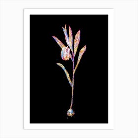 Stained Glass Fritillaria Latifolia Mosaic Botanical Illustration on Black n.0043 Art Print