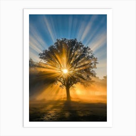 Sunrise Over A Tree 1 Art Print