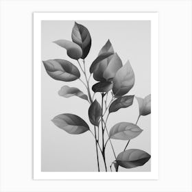 Black And White Leaf Sketch Art Print